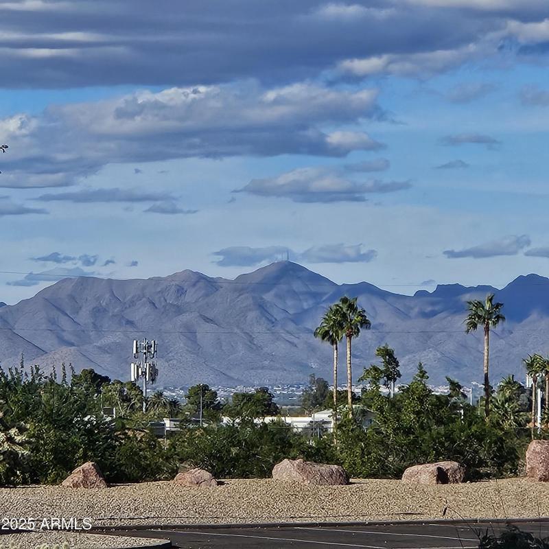 View from Nearby Park