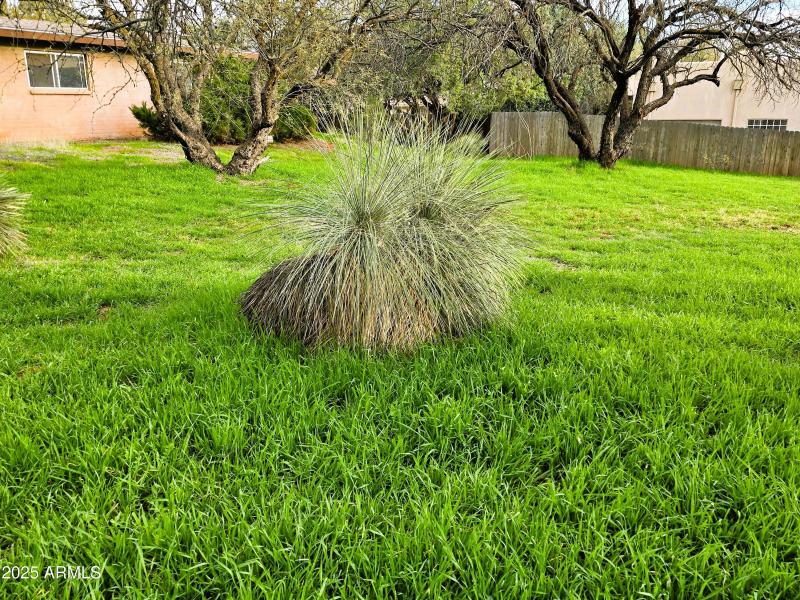 East build residential lot