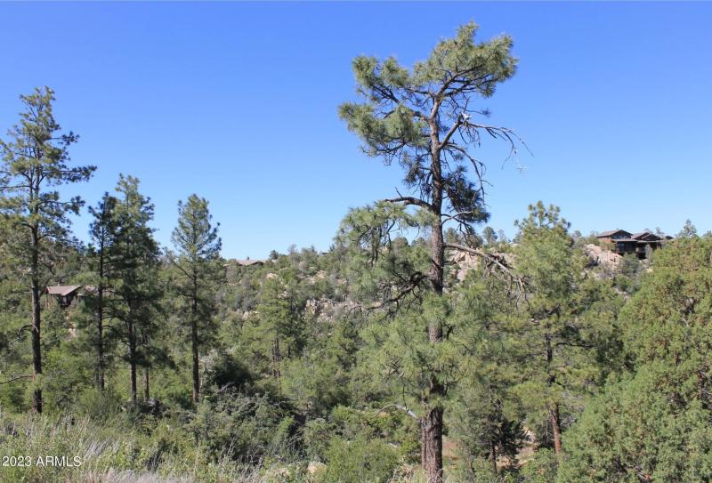 Street View Looking North