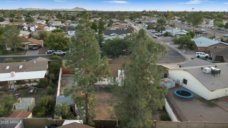 54-web-or-mls-DJI_0693