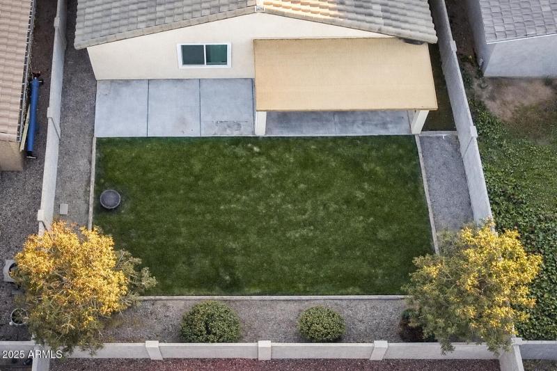 Suburban backyard in the evening light