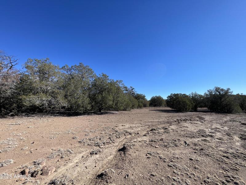 Natural Division | Two 20-Acre Sections