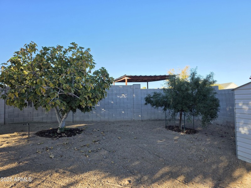 Multiple Fruit Trees