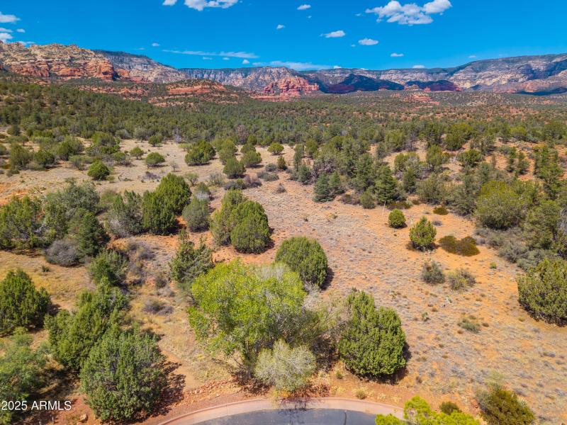 160 Hidden Meadow Aerial