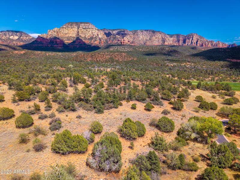 160 Hidden Meadow Aerial