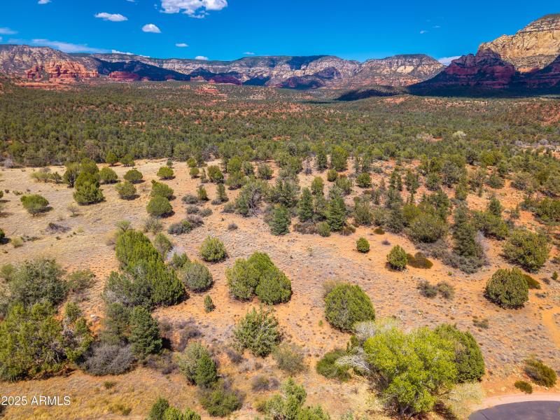 160 Hidden Meadow Aerial