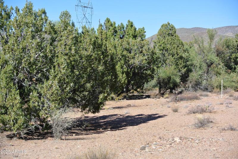 12) 66208-694469100ee34