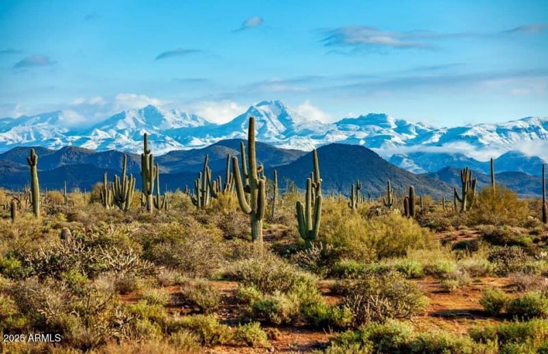 Snow capped mountains