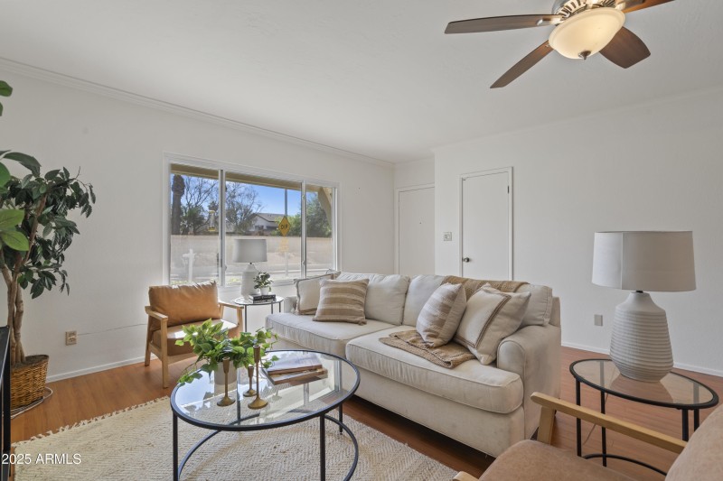 Light-Filled Living Room