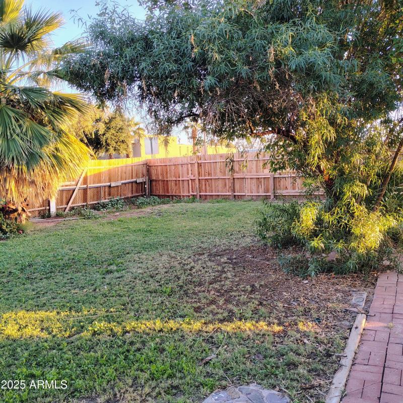 IMG_20251219_155453 (6)