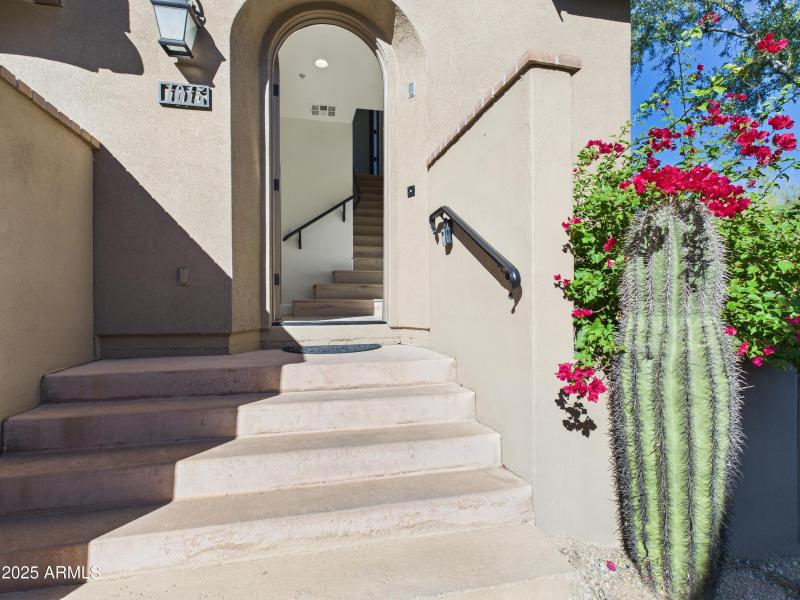 92 20704 N 90th PL Unit 1015 Front Door