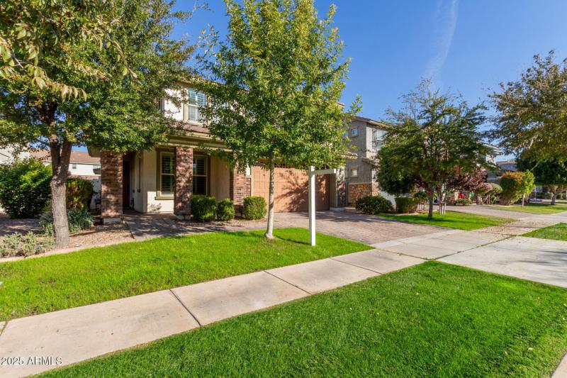 05 - Palo Verde 4268