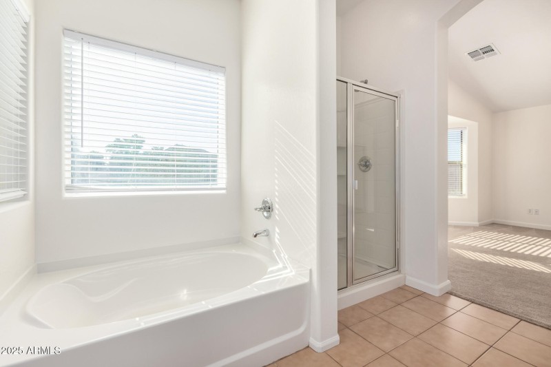 Larger Soaking Tub and Sep. Shower