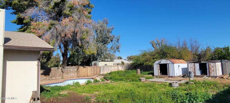 Backyard looking Northeast
