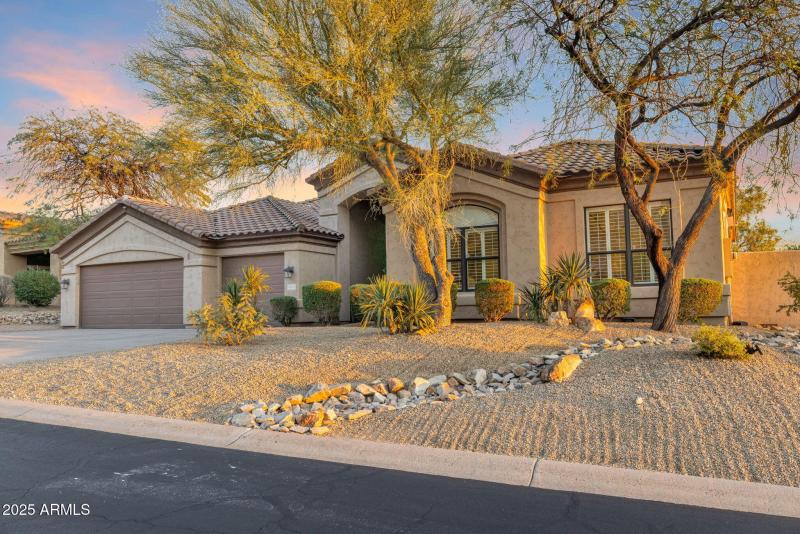 58-web-or-mls-896A7951