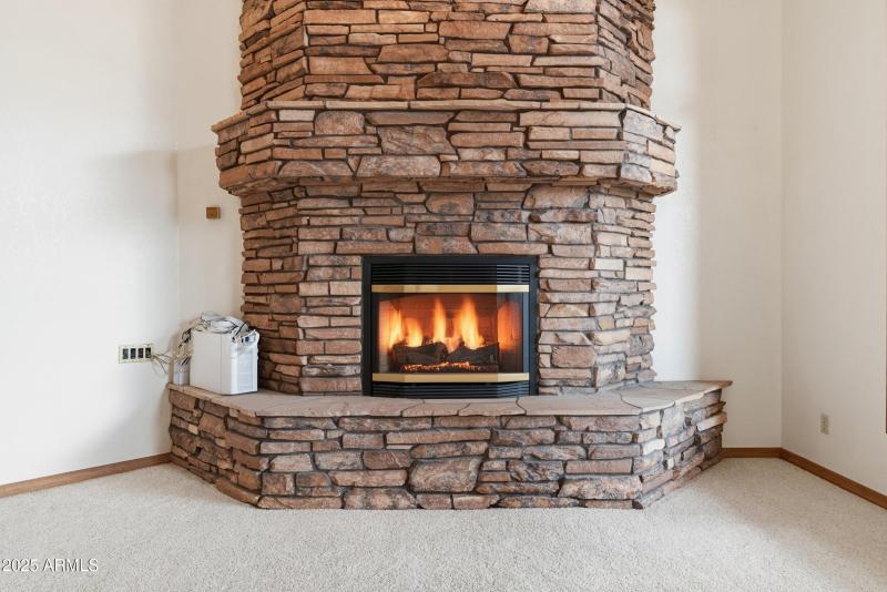 033_DSC_2449_with_fire (1)