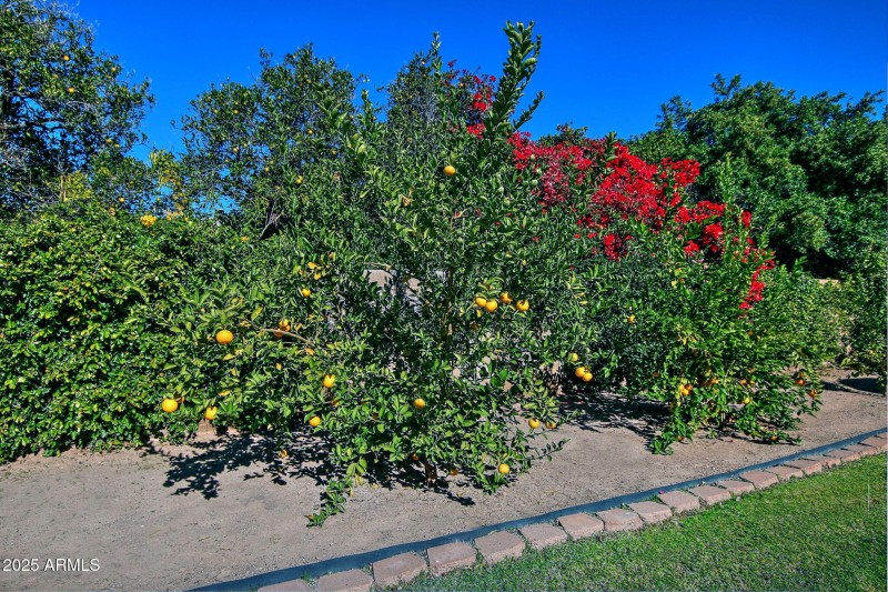 61-web-or-mls-zSet15