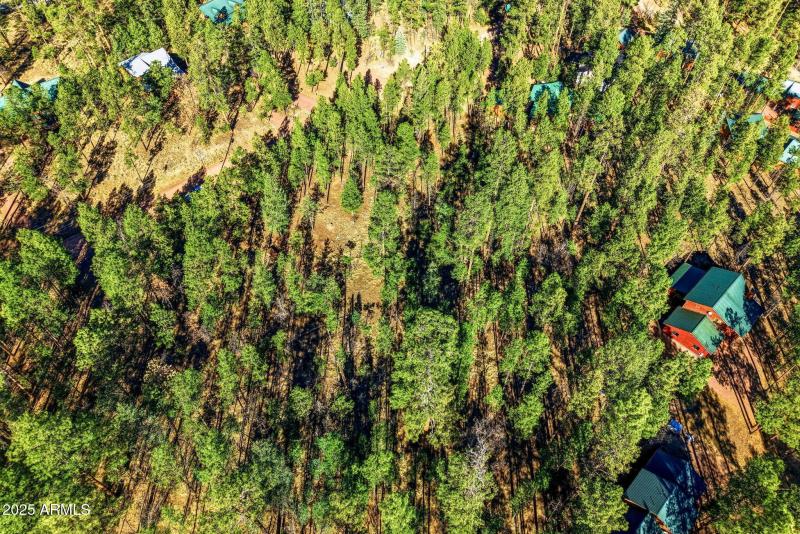 20CR2067-Alpine-AZ-12