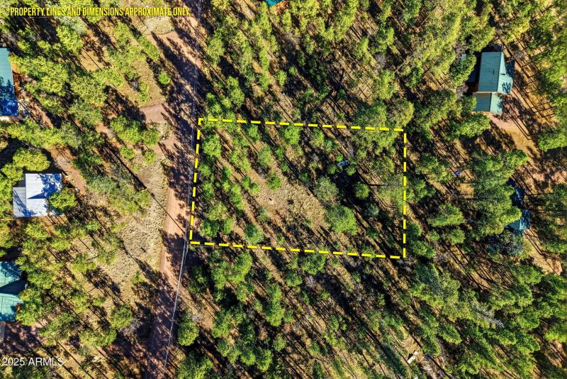 20CR2067-Alpine-AZ-15