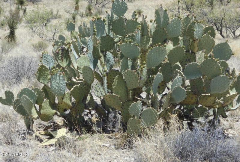 Screen Shot 2025-12-22 at 9.31.07 AM