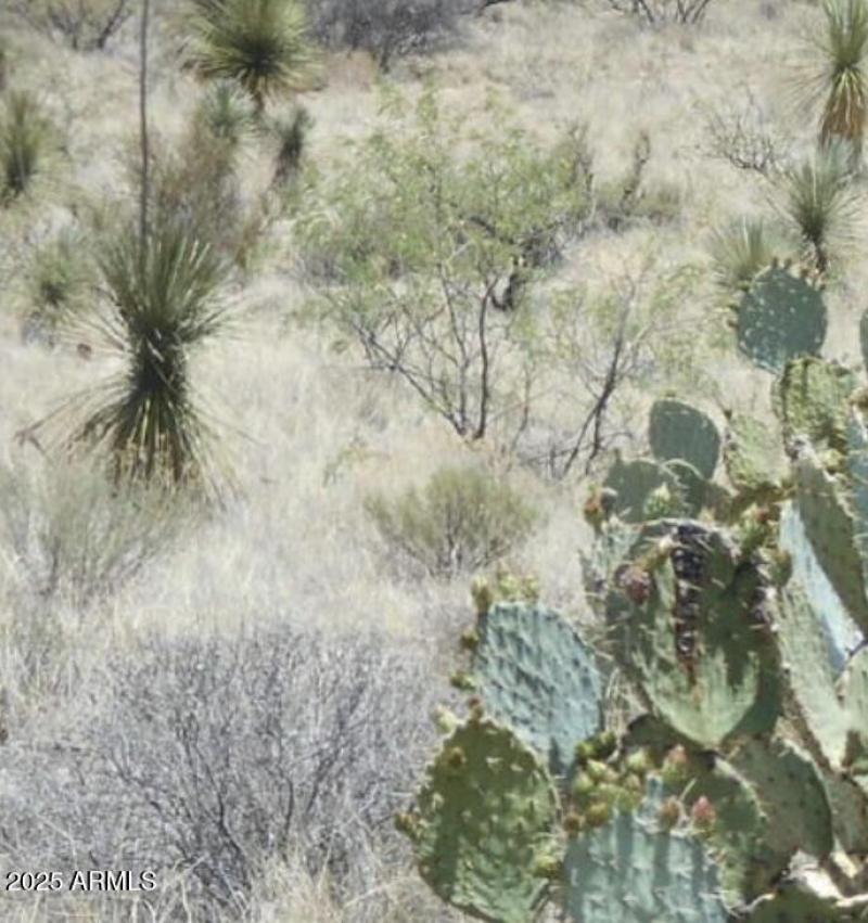 Screen Shot 2025-12-22 at 9.30.50 AM