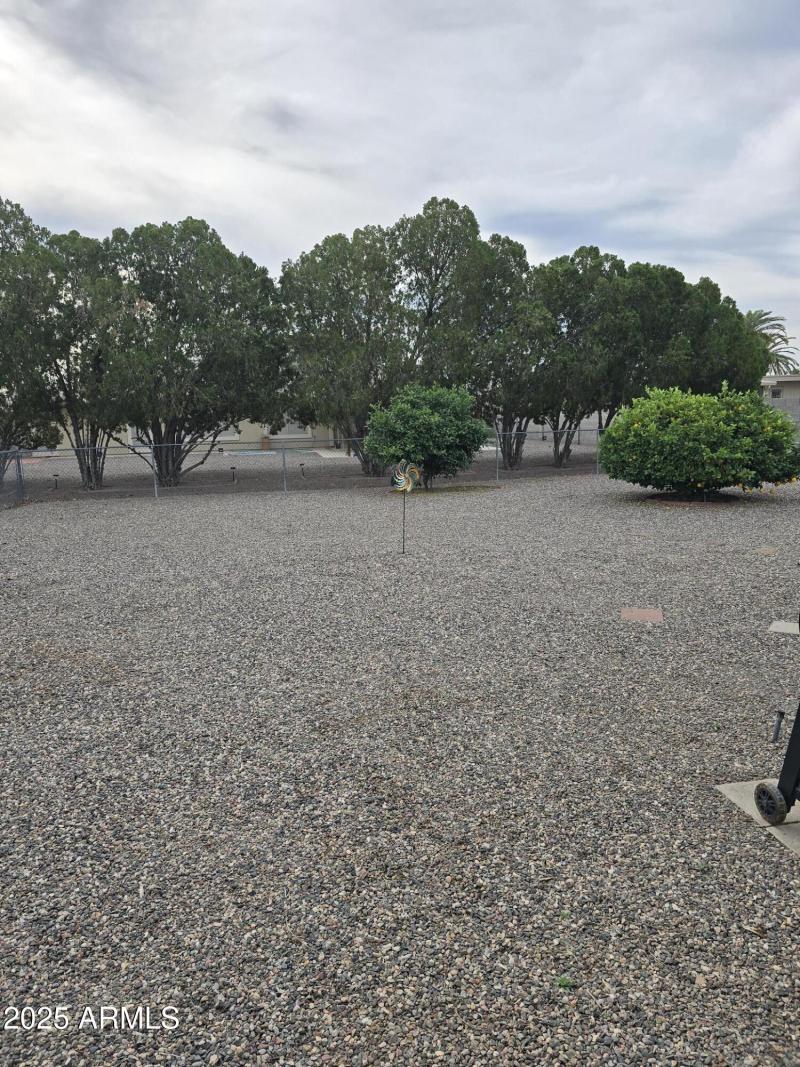 FENCED BACKYARD WITH FRUIT TREES