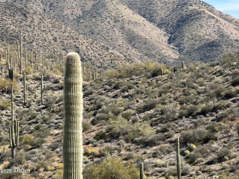 Apache Peak views