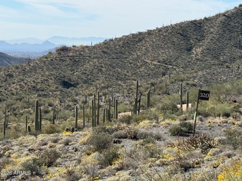 LOT 320