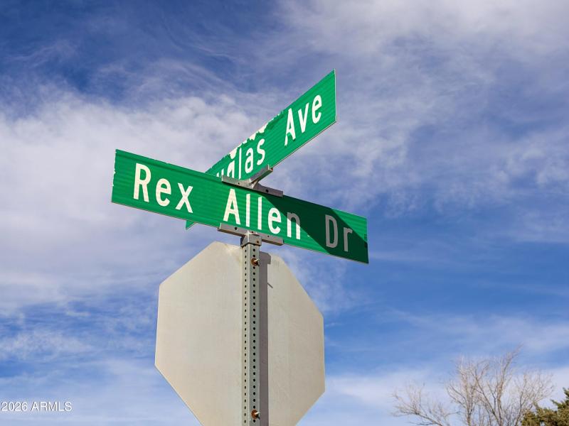 IMG_4641