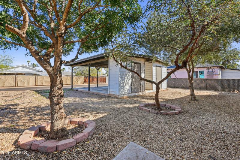 Backyard