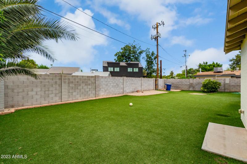 Backyard