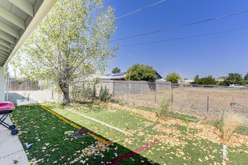 Back Yard 1
