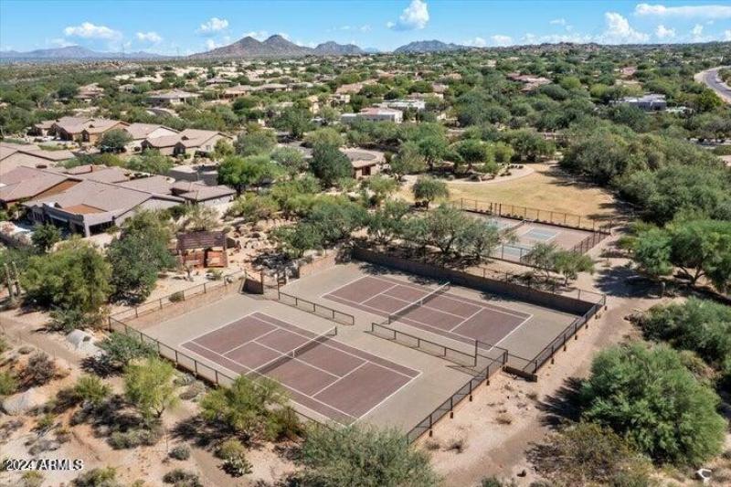 Photo #37