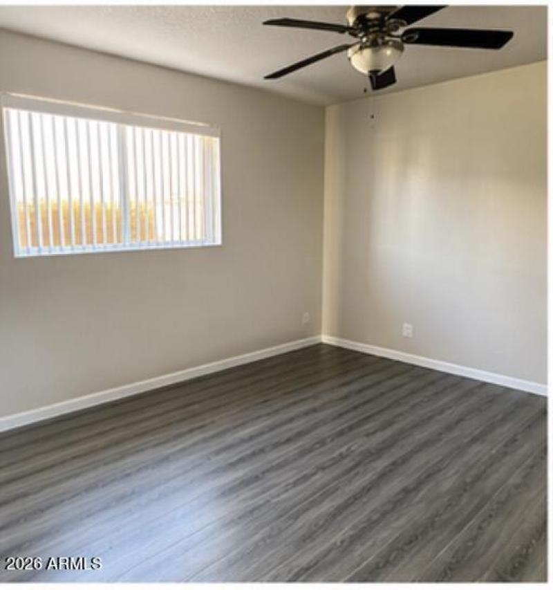 IMG_5272