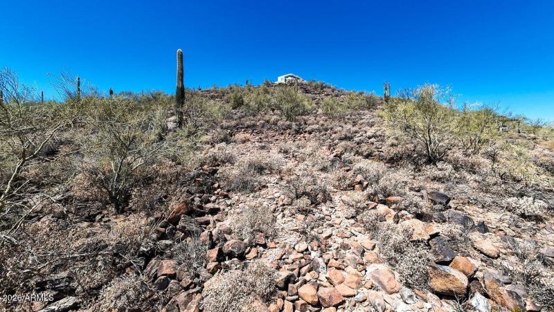 1-web-or-mls-37820 N 31st Ave C Phoenix,