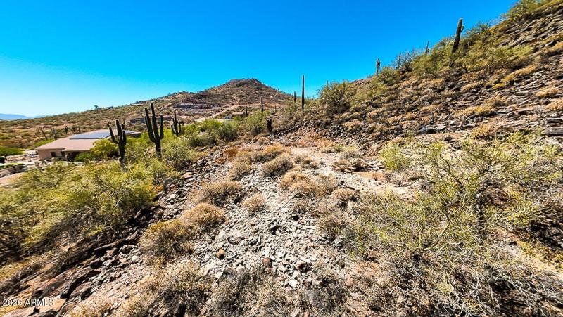 5-web-or-mls-37820 N 31st Ave C Phoenix,
