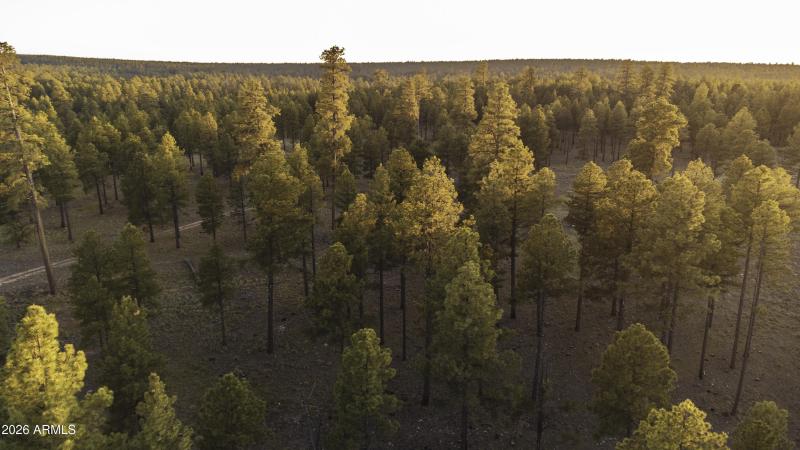 DJI_0740