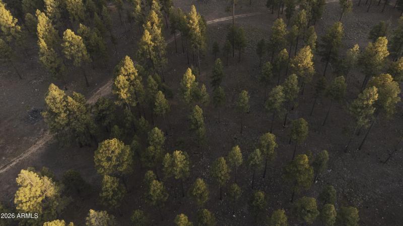 DJI_0758