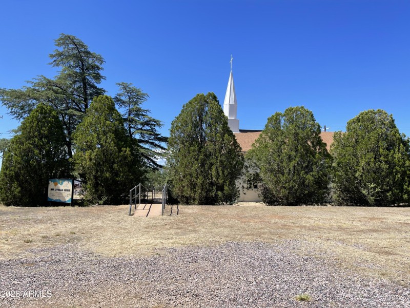 Tree Row by Sanctuary