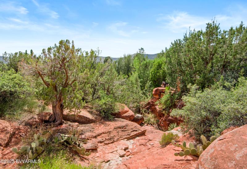 029_Nature in Your Backyard!