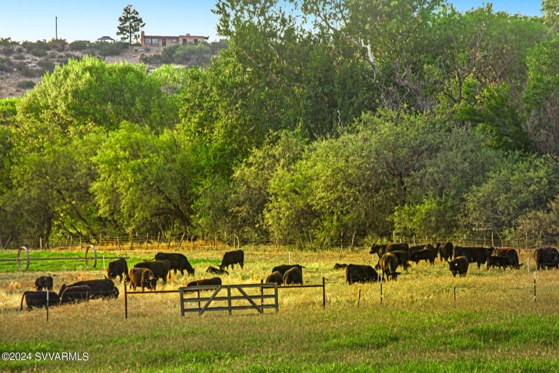 Home of Purelife Beef