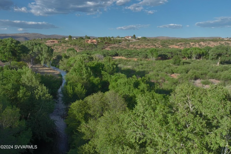 Lush vegetation around the creek