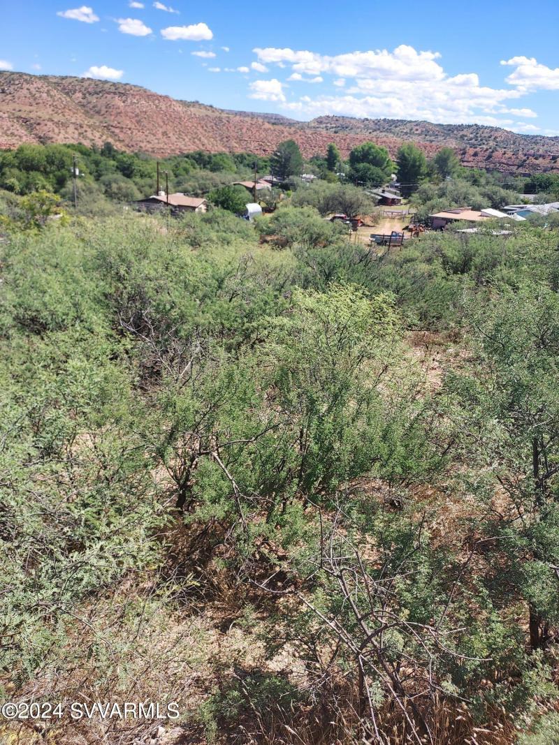 View from top of lot