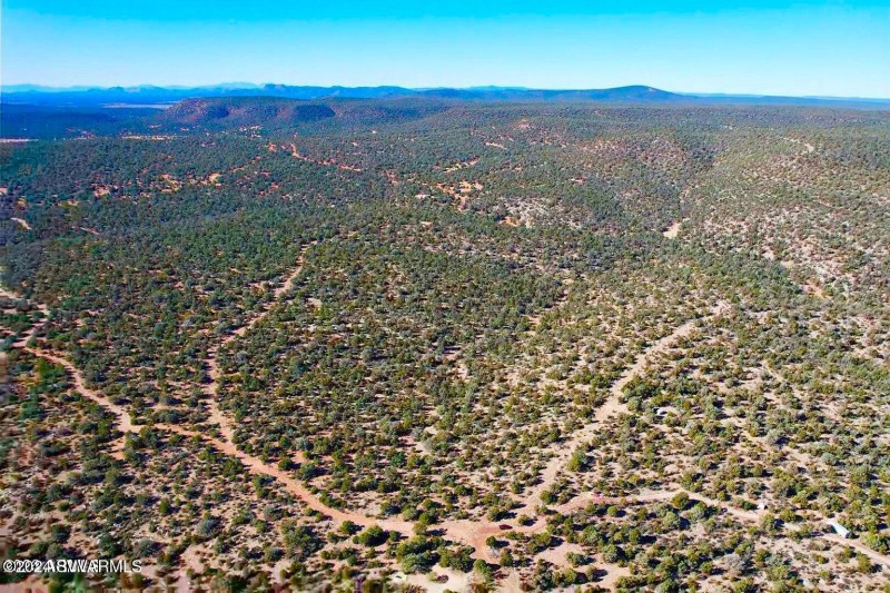 20241203091527485647000000-o