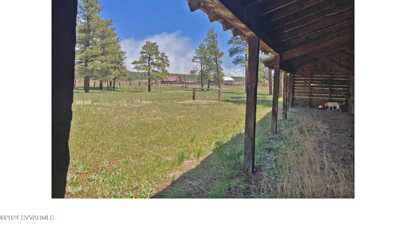 10 Stall Horse Barn and Field