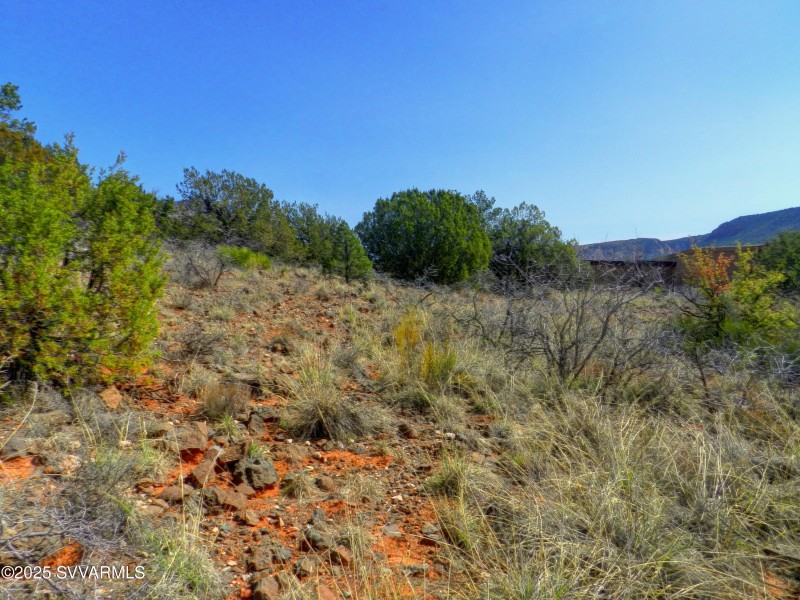 Explore your Backyard