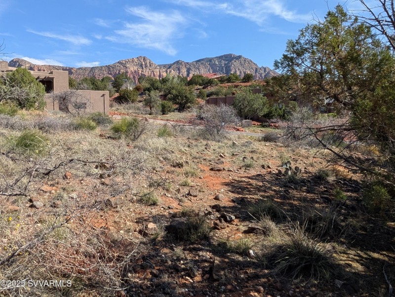 Large Lots in Small Subdivision