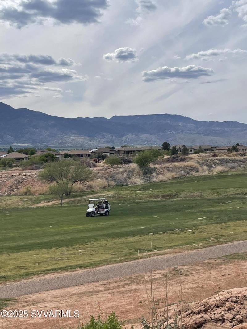 View from backyard 1