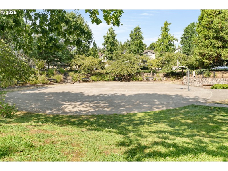 Community Basketball