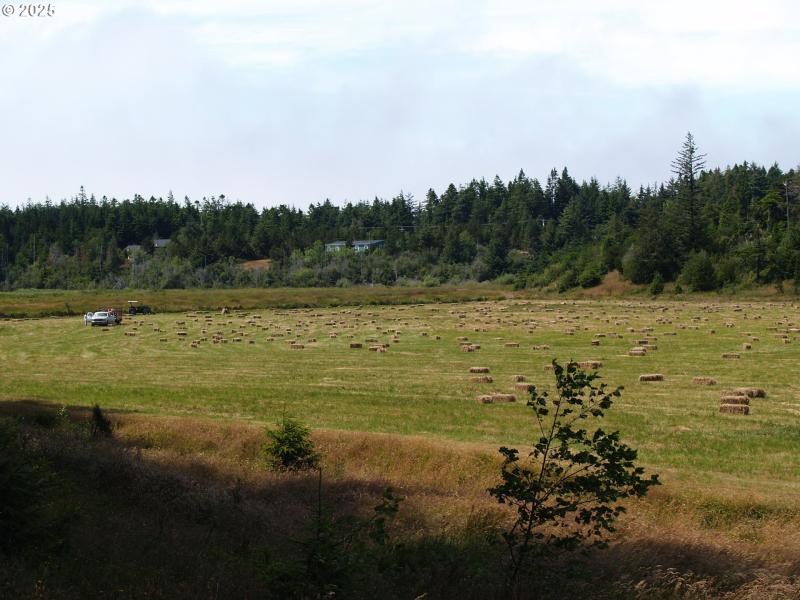 Pasture